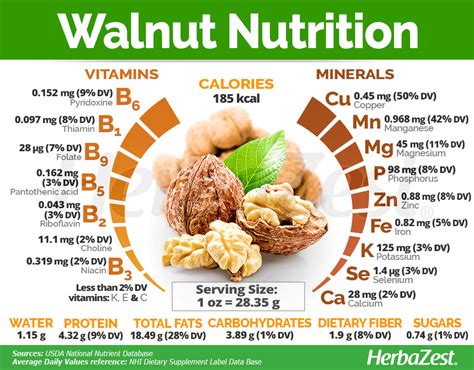 do walnuts contain omega 3|what type of omega 3 is found in walnuts.